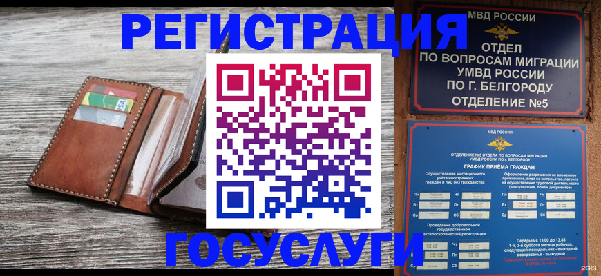 временная регистрация гарантия в Кирсе